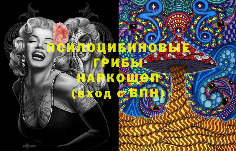 Псилоцибиновые грибы MAGIC MUSHROOMS  купить закладку  Олонец 